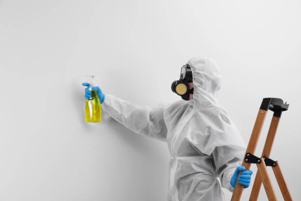 Best Mold Removal for HVAC Installations  in New Glarus, WI